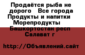 Продаётся рыба не дорого - Все города Продукты и напитки » Морепродукты   . Башкортостан респ.,Салават г.